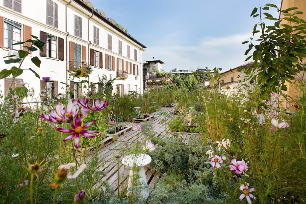 Seeding biodiversity