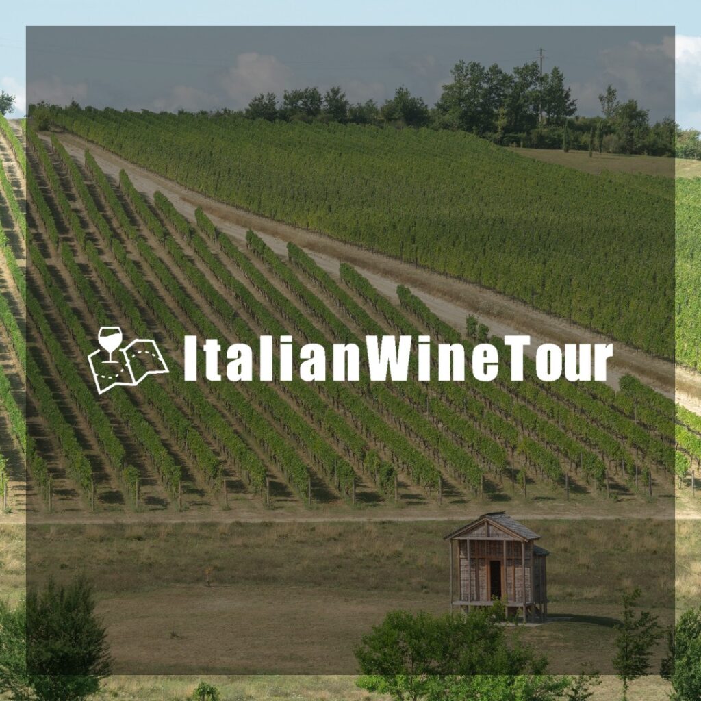 Opere d’arte tra i filari, l’unicità de La Raia