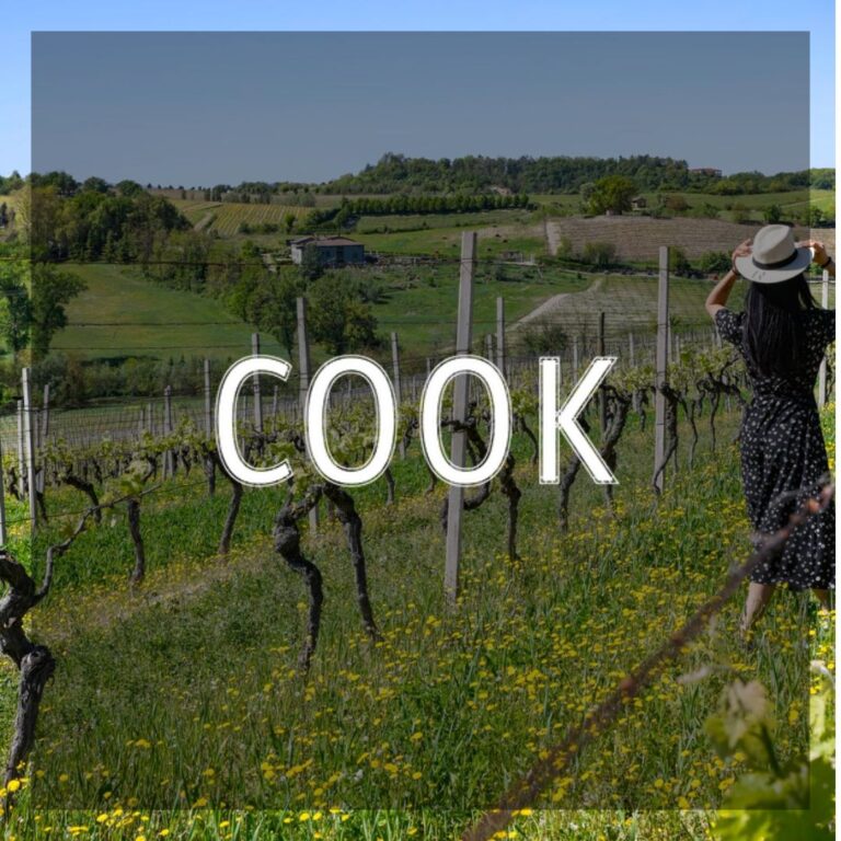 Le migliori cantine d’Italia secondo Go Wine, regione per regione