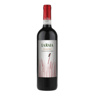 Piemonte D.O.C. Barbera Bruente