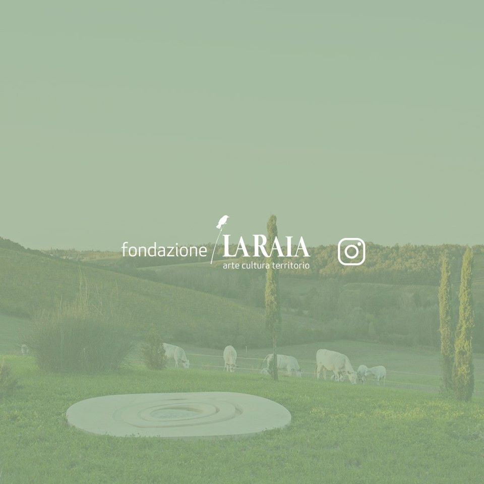 The first 7 years of the La Raia Foundation
