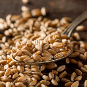 Small spelt