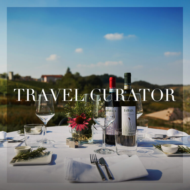 A wine journey through Piemonte