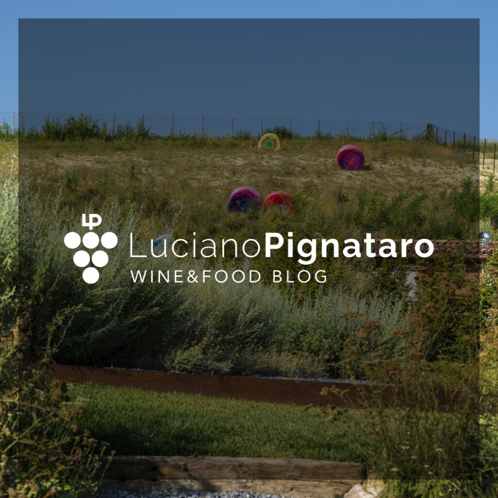 InVINOveritARS: La Raia a Gavi e l’arte del paesaggio