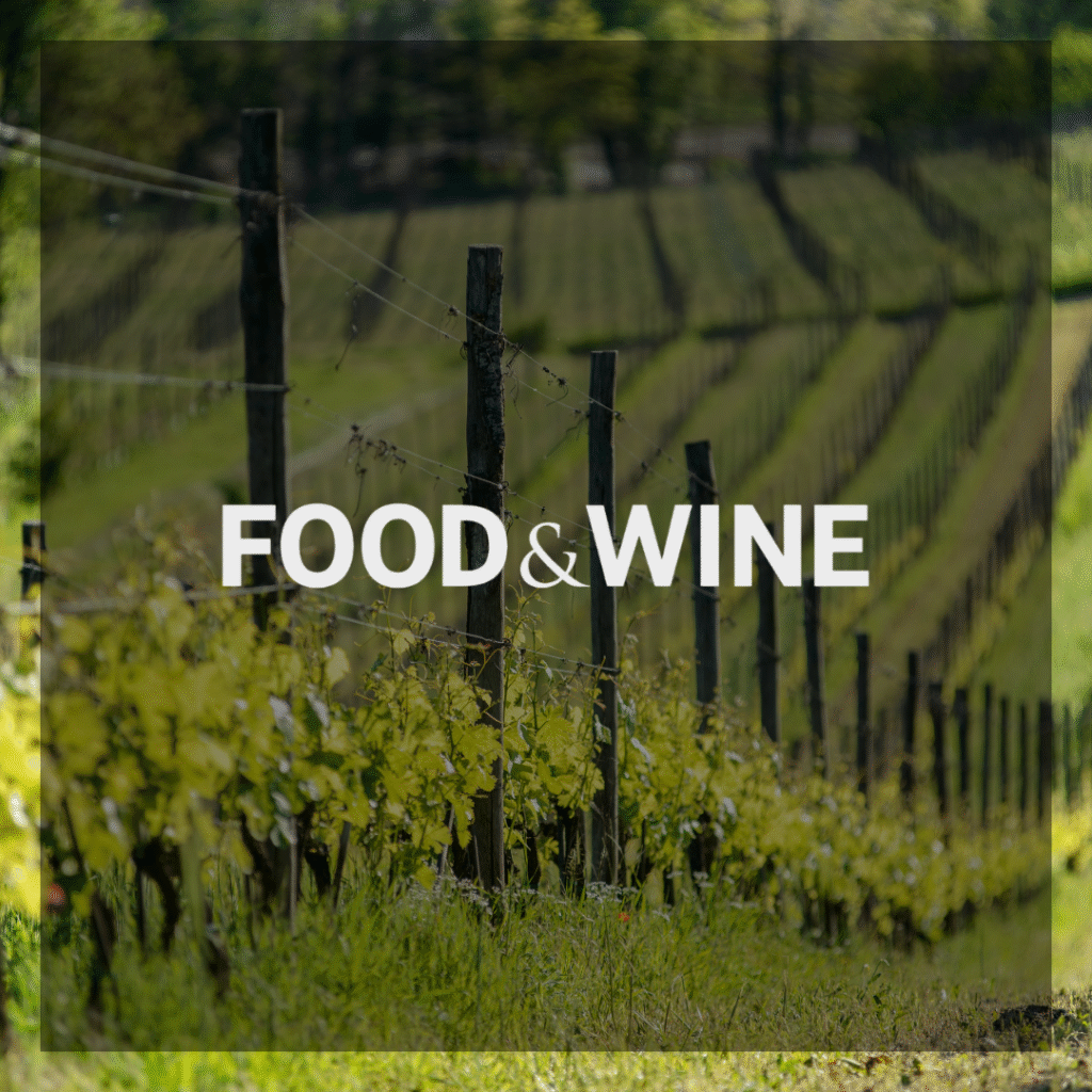 Dodici cantine da visitare vicino a Milano