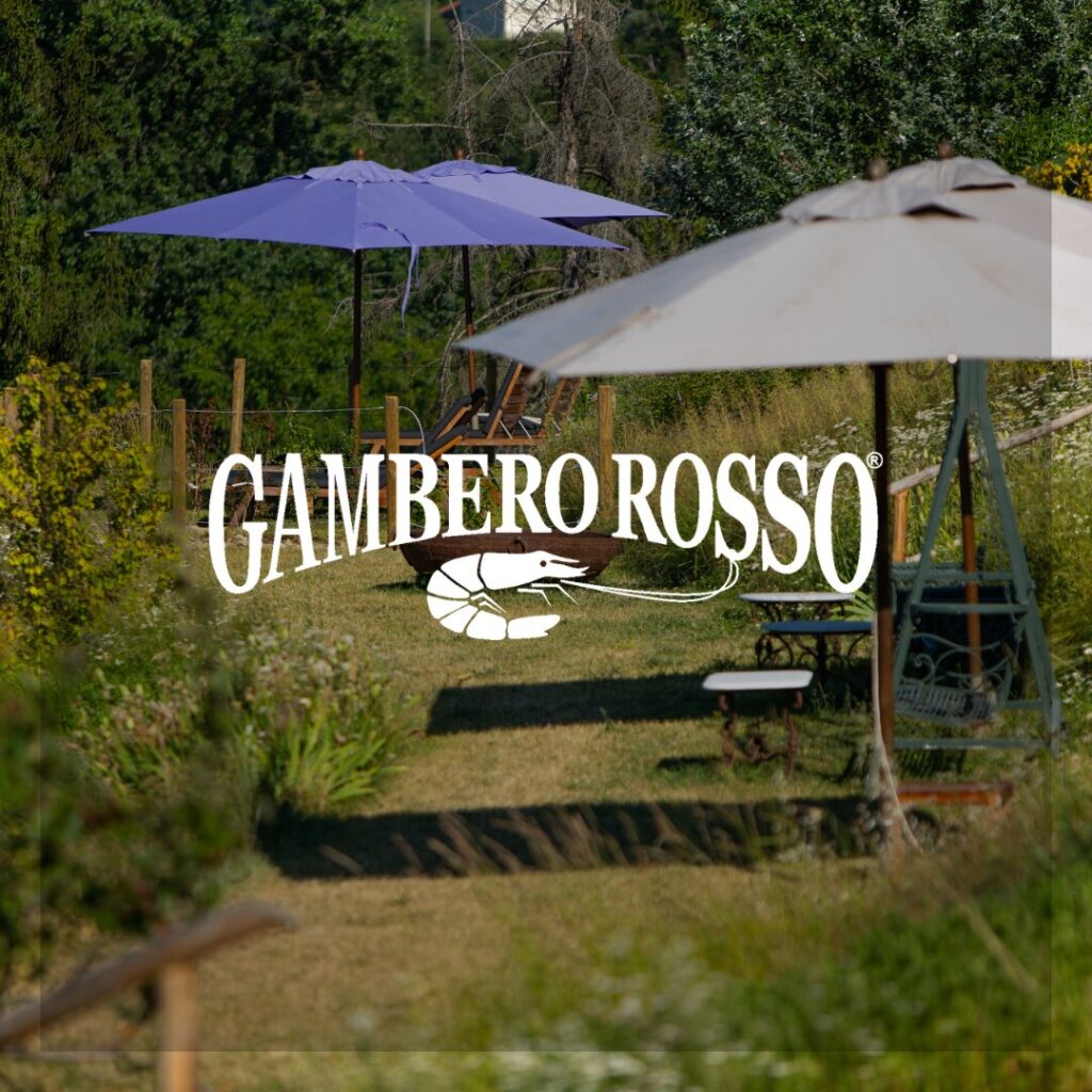 Vacanze in vigna, le 10 esperienze da non perdere in cantina e tra i filari