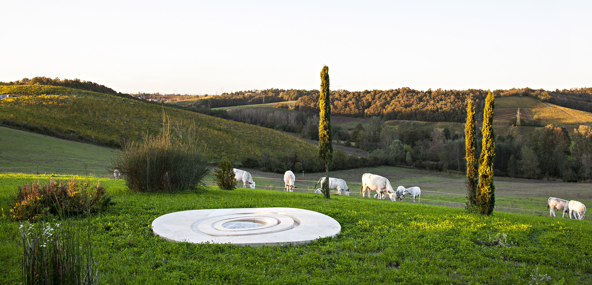 Il sabato piantare il cipresso...