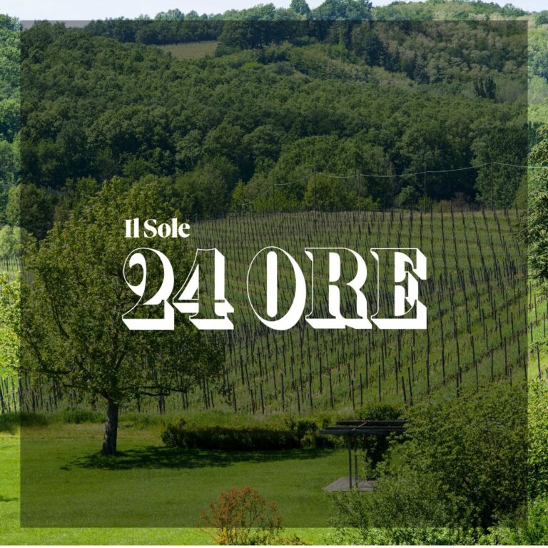 Percorsi di vino e arte a La Raia