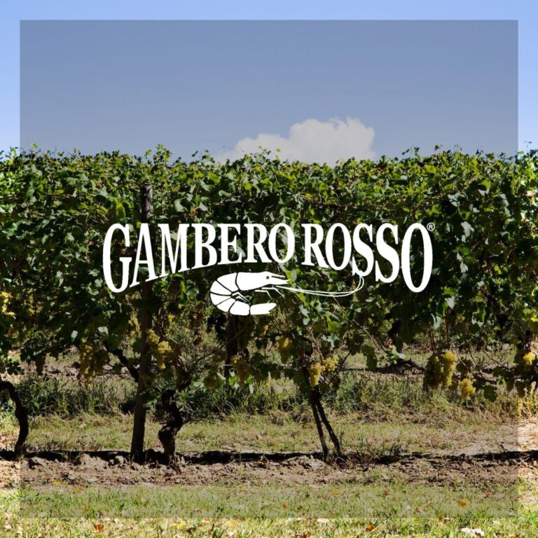 Un ecosistema biodinamico tra vino, arte e ospitalità