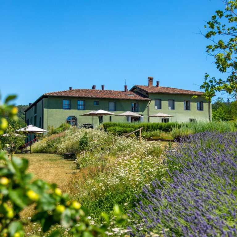Gavishire: vino, trekking e natura incontaminata