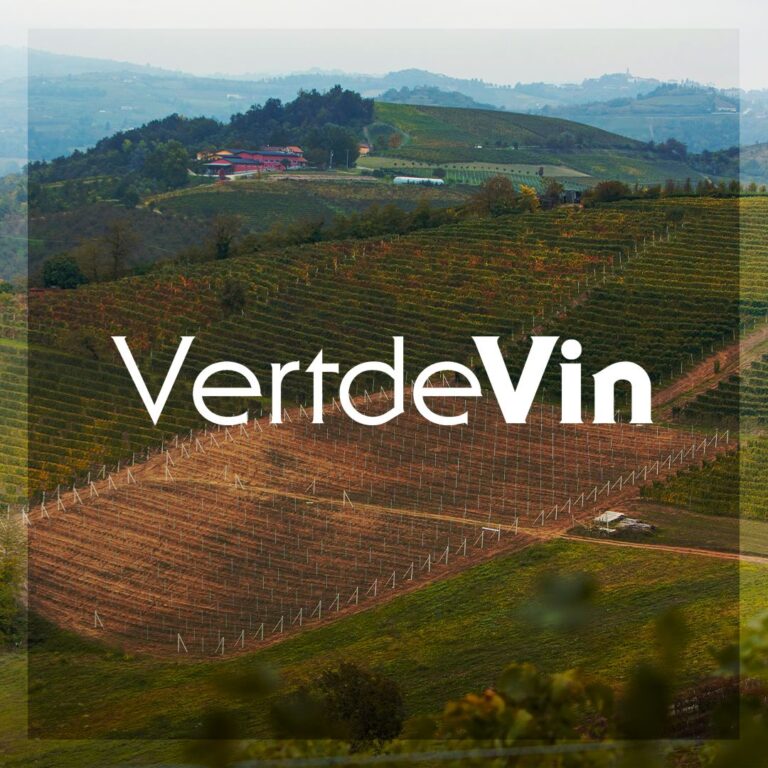 Il Gavi 2019, un vino vibrante!