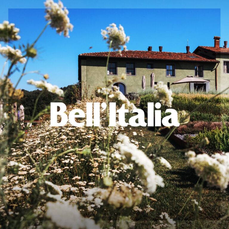 Sui colli del grande bianco piemontese