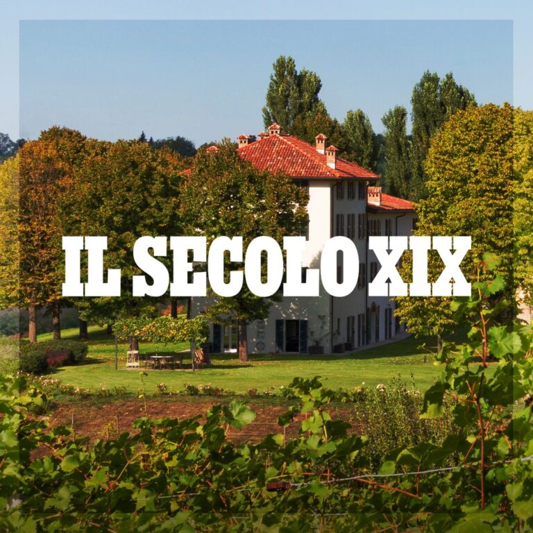 Vino, in provincia di Alessandria alla scoperta delle "cantine accoglienti"